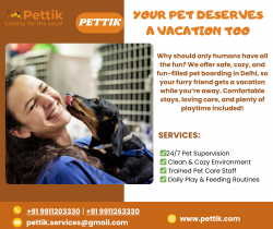 Everything Your Pet Needs – All in One Place! ??