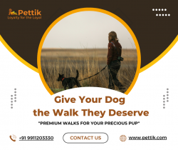 Everything Your Pet Needs – All in One Place! ??