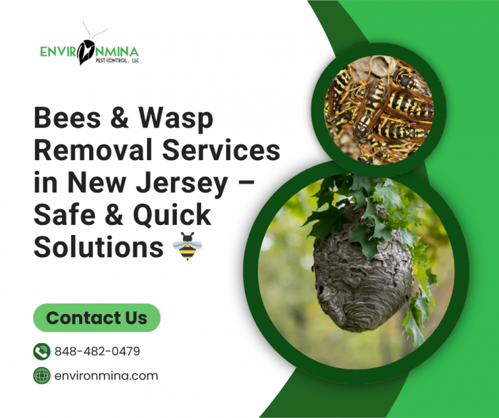 Bees & Wasp Removal Services in New Jersey – Safe & Quick Solutions