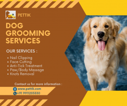 Pet Grooming Services Near You | Professional Pet Groomers
