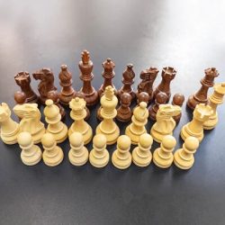Shop Premium Chess Pieces Online at Chessnut