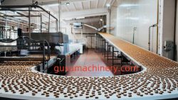 Boost Production Efficiency with Gusu Chocolate Coating Machine