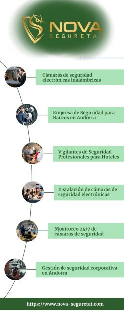 Cámaras de Seguridad Electrónicas Inalámbricas | Nova-Seguretat