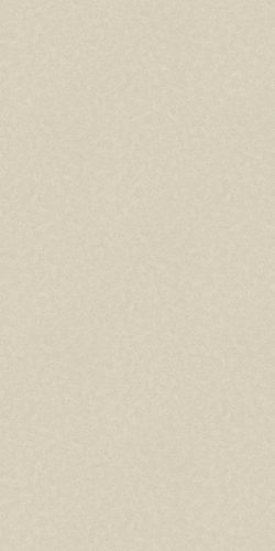 W240147 1200W Concrete Look SPC Wall Panel Matte Finish