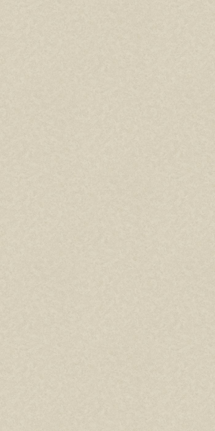 W240147 1200W Concrete Look SPC Wall Panel Matte Finish