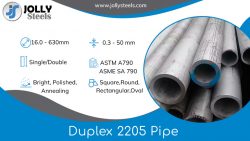 Buy Alloy Duplex 2205 Pipe at Factory Price