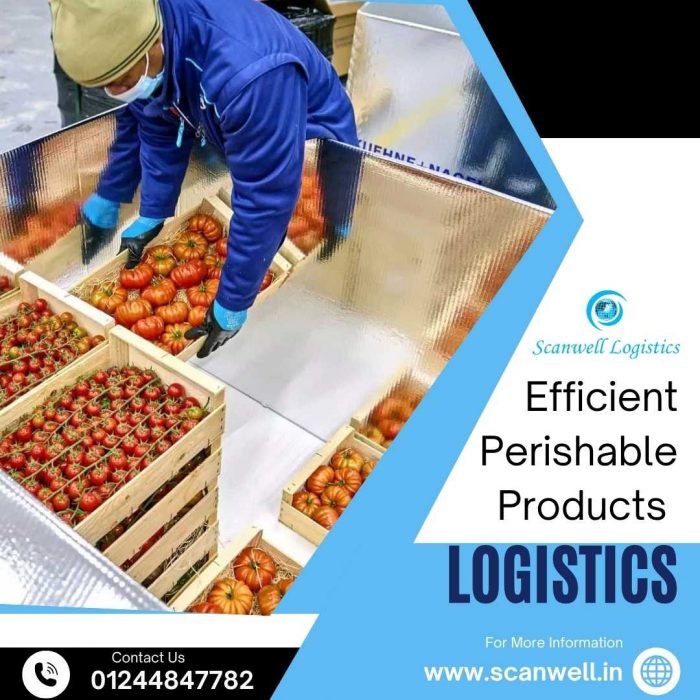 Reliable & Efficient Logistics for Perishable Products – Freshness Delivered