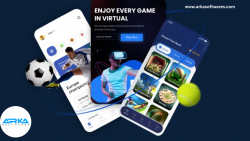 Fantasy Sports App Development Services By ARKA Softwares