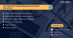 Custom WordPress Development Services company