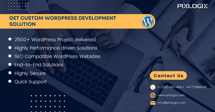 Custom WordPress Development Services company