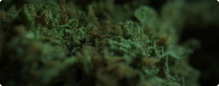 Cincinnati Dispensary