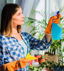 Shining Spaces, Growing Businesses: The Power of Professional Office and Commercial Cleaning Ser ...