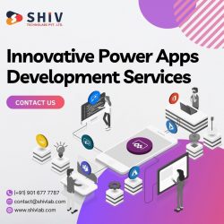 Innovative Power Apps Development Services by Shiv Technolabs