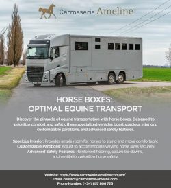 Durable & Spacious Horse Boxes for Safe Transport