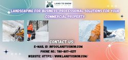 Landscaping for Business: Professional Solutions for Your Commercial Property