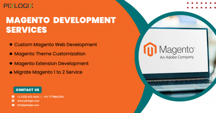Best Magento Development Services