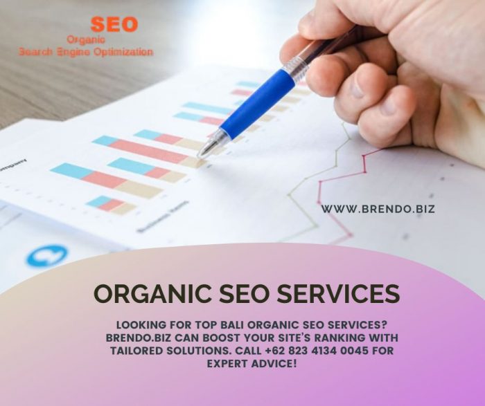 Organic SEO Services
