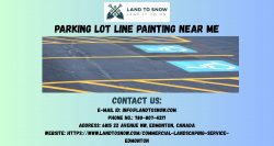 Professional Parking Lot Line Painting Near You for Safety and Organization