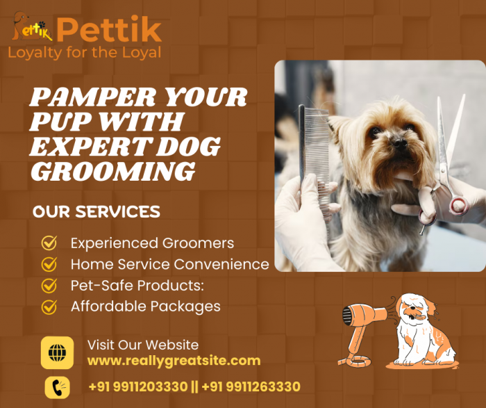 Pamper Your Pup with Expert Dog Grooming by Pettik