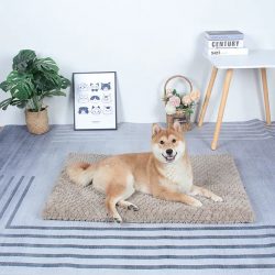 Rectangular Washable Memory Foam Dog Mat