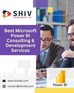 Tailored Power BI Development Services by Shiv Technolabs