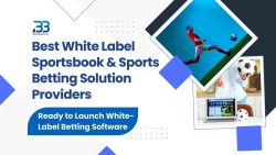 White Label Sportsbook Provider