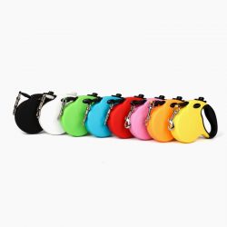 Why a Pet Retractable Leash is a Must-Have for Every Dog Owner Outdoors?