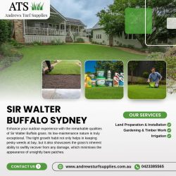sir walter buffalo sydney