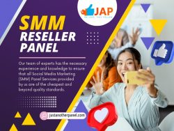 SMM Reseller Panel Prices