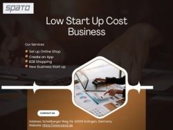 Top Ideas for a Low Start Up Cost Business in 2025