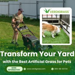 Transform Your Yard with the Best Artificial Grass for Pets