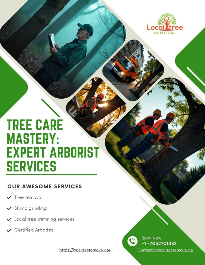 Tree Care Mastery: Expert Arborist Services