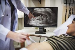 Why the 20 Week Ultrasound Is So Important for Your Pregnancy