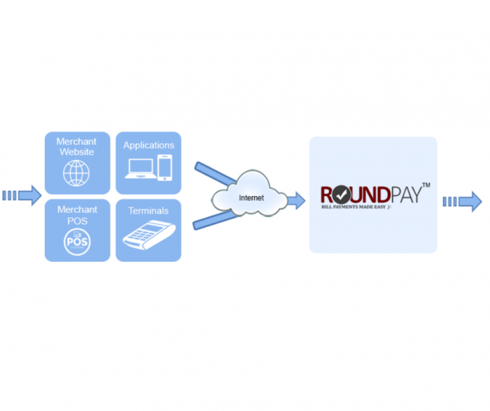 Round Pay – Trusted Domestic Money Transfer API Provider in India