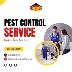 How to Get Rid of Mice in the Kitchen: Quick and Safe Solutions