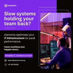 Australian Information Technology Companies Help Fix Slow Business Systems