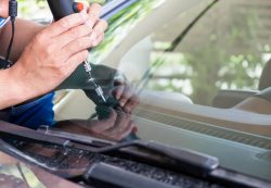Trusted Windscreen Repair Services in Sydney ??