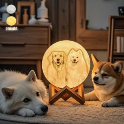 Lámpara de Luna con Foto Personalizada