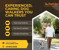 Professional Dog Walking Services in Delhi NCR | Pettik.com
