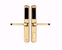 PROFILE DOOR STAINLESS STEEL A11 SMART LOCK