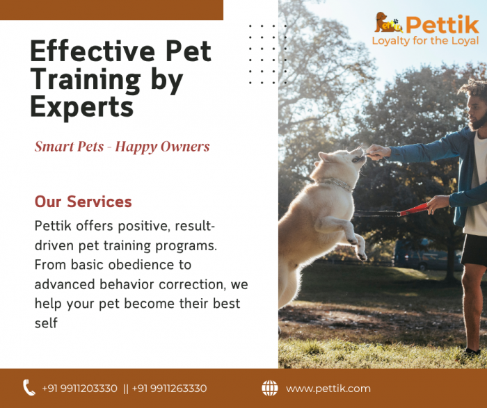 Pet Training Service in Noida