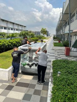 Efficient Fish Livestock Relocation Services