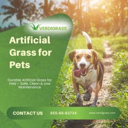 Pet-Friendly Artificial Grass – Clean, Safe & Low-Maintenance!