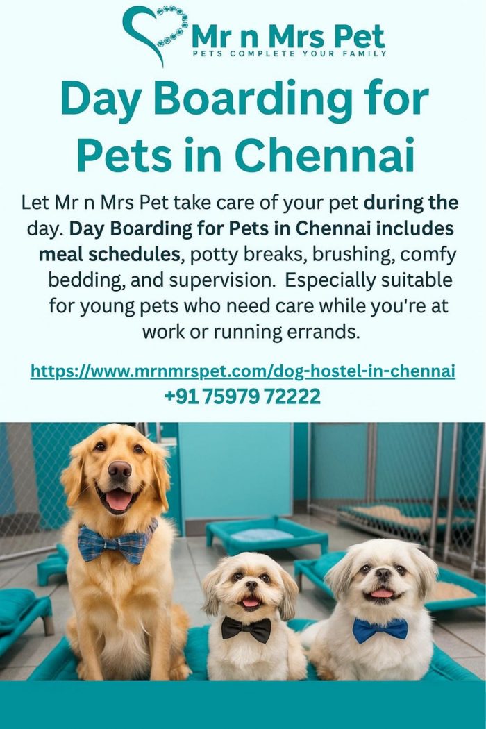 Day Boarding for Pets in Chennai