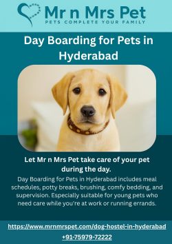 Day Boarding for Pets in Hyderabad