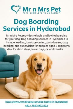 Dog Boarding Services in Hyderabad