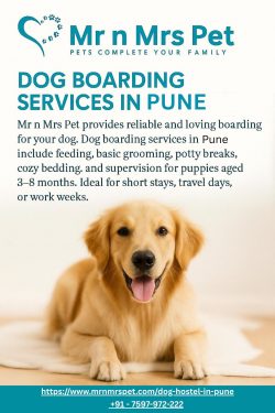 Dog Boarding Services in Pune