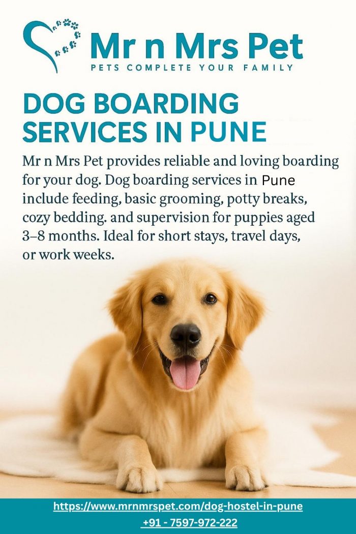 Dog Boarding Services in Pune