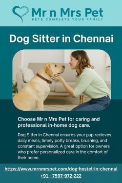 Dog Sitter in Chennai