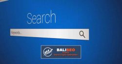 High Quality SEO Bali